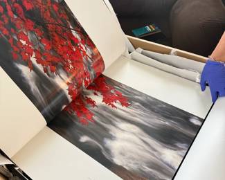ALL FRAMABLE PAGES