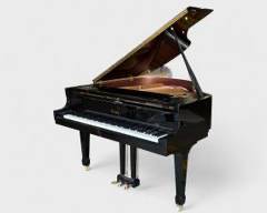 Essex Steinway Piano
