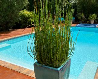 #104 -$600.00pair OR $300 each Turquoise square planters horse tail rush 60x16