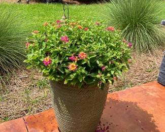 #112 $60.00 each Lantana 30x19 - (2)