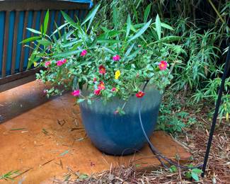 #107 $80.00 Prustline plant & oleander 23x34