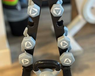Set of hand weights