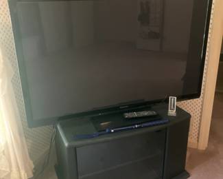 Panasonic 48" TV