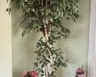 PC178Faux Ficus And Arrangements