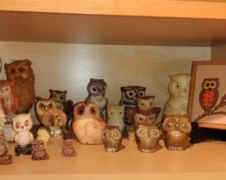 PC204Owls