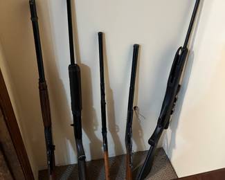 3- BB guns 2- pellet guns