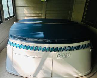 Classic Spa hot tub from Hot Spring Spa of Michigan