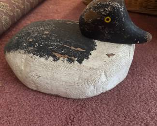 Duck Decoy