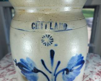 Opposed Tulips from Cortland N.Y.