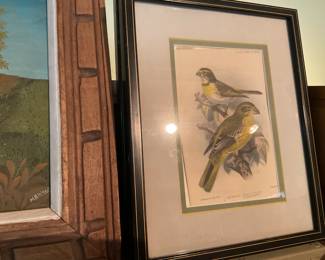 Bird prints