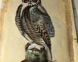 Owl print