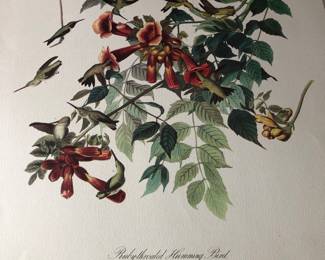 Botanic print
