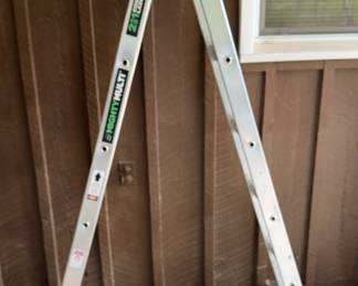 6 Foot Mighty Multi Ladder