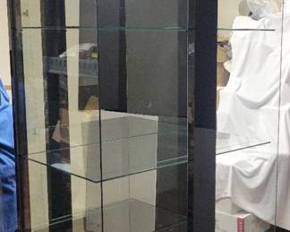 Mirrored Glass Showcase