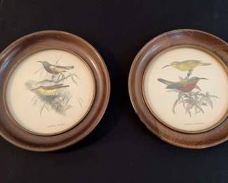 Bird Prints in Circular Frames