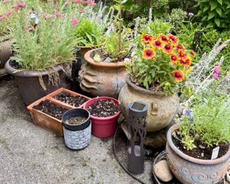 Pots w/Plants