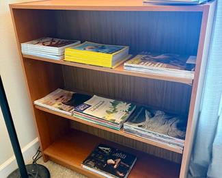 Several Modern style Bookshelves