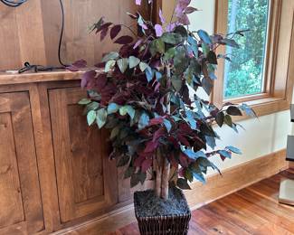 M43 - $25. Faux Plant 50" tall.