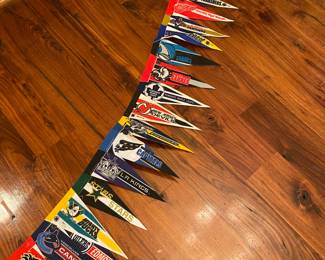 M100 - $30 - Long Display of Small Pennants.