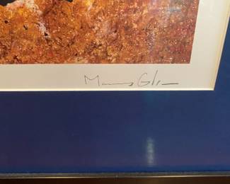 M31 - $75. Marcus Glenn Framed Print. Measures 36"x30" framed.