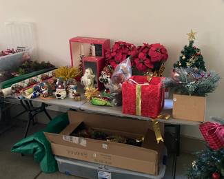 Overview of Christmas in Garage.