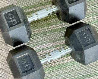 40 Lb weights