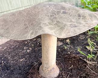 Awesome Mushrooms Sold as Set 3