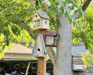 Several posts with 4 Birdhouses