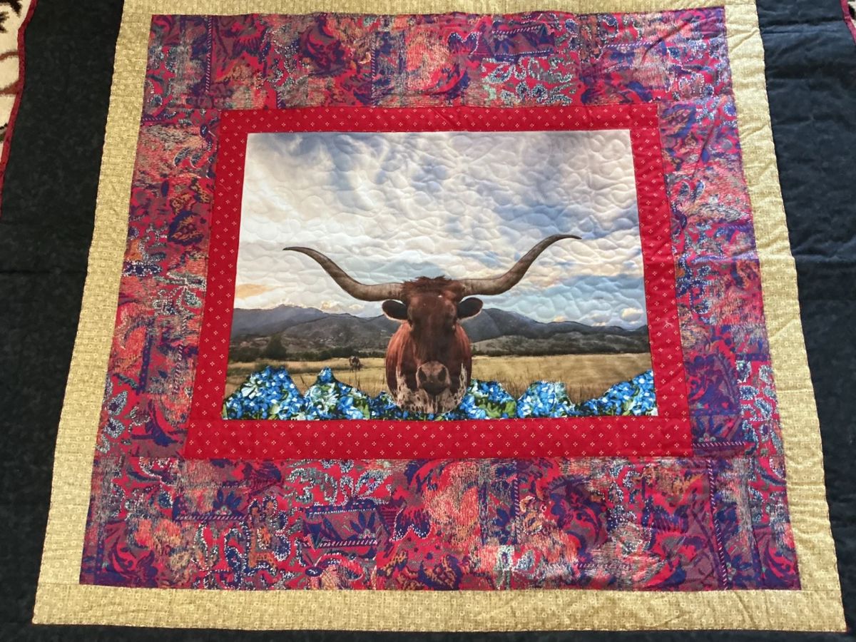 Handmade Terlingua, Texas Quilt. Billy the Longhorn!