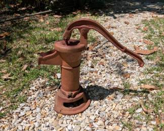 Antique well pump