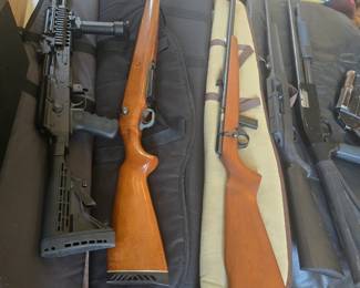 Rifles, and a lot of holsters, tactical stuff, and other gun gear.