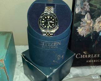 CITIZEN ECO-DRIVE MEN'S WATCH