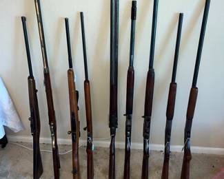 List of weapons
Model 11 12g, full choke
Model 11 12g, mod choke
Baker 12g double barrel
Bridge 20g double barrel
Military Hauser with weave v3 scope, unknown caliber
Stevens/ savage 20g
M48 Harrington 12g
Thompson arms 50cal blank powder replica
Moisen nagant, 1937 Tula 7.62x54