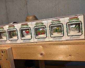Teenage Mutant Ninja Turtles
