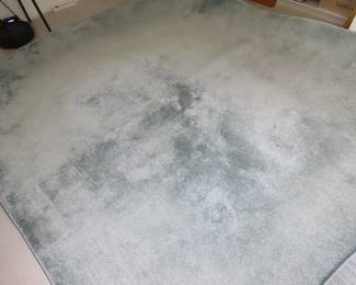 Sea foam blue area rug.