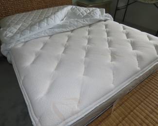 Fullsize mattress and box spring.