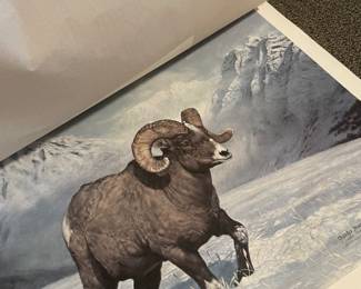 Ram Print by Charles Frace