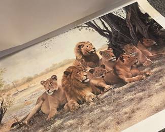 Royal Pride Lion Print by Charles Frace