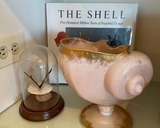 Cambridge CrownTuscan Shell