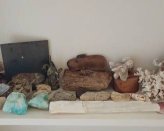 Rocks, Fossils and Shells