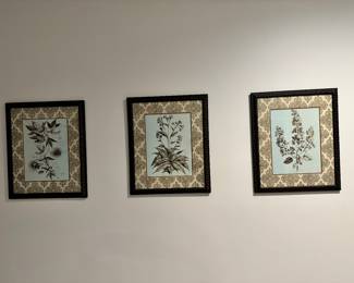 Three coordinating framed botanical prints