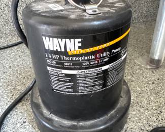 Utility pump