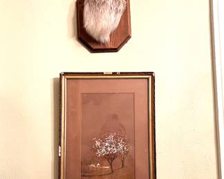 Taxidermy
