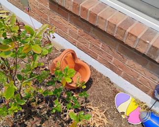 TERRA COTTA PLANTER