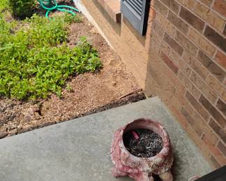 CONCRETE TURTLE PLANTER