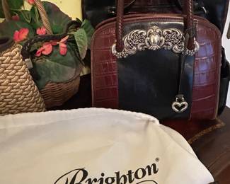 Brighton purse