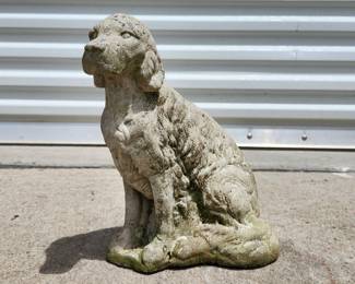 Cement Dog