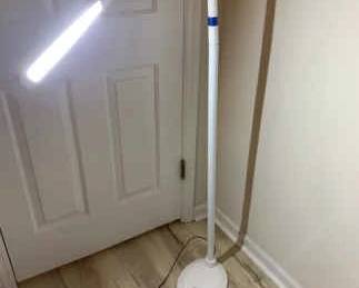Ottlite Lamp