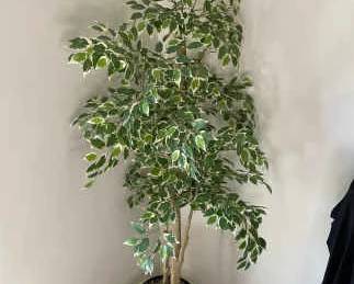 Faux Weeping Fig Tree With A Beautiful Pot