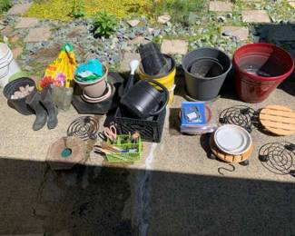 Container Gardening Mystery Lot